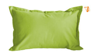 Lisa Lime Outdoor Scatter Cushion 60 x 40