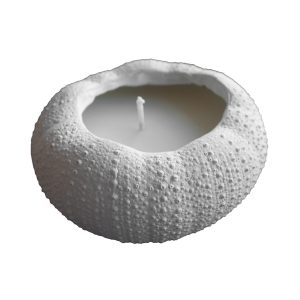 Anenome Candle - White