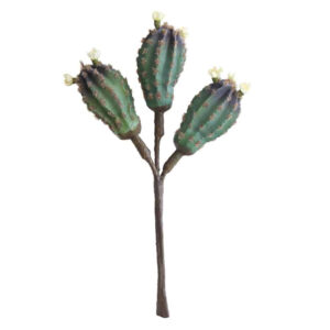 Cactus 37cm