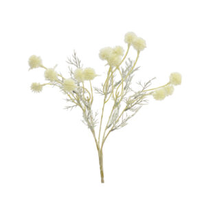 Dried Flower White 35cm