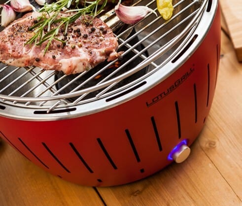 LotusGrill XL Portable Braai for Sale at Mobelli